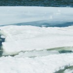 icebergs on Lake Erie