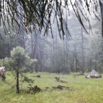 a dewy morning in the Gila Wilderness camp