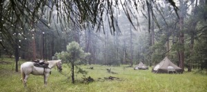 a dewy morning in the Gila Wilderness camp